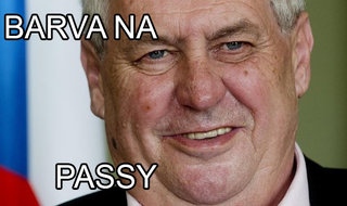 PASY.jpg