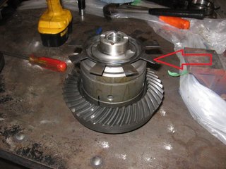 IMG_0251-1.jpg
